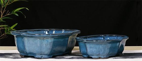 Potes de cerámica azules esmaltados de la planta interior de los bonsais los 30x23x10cm